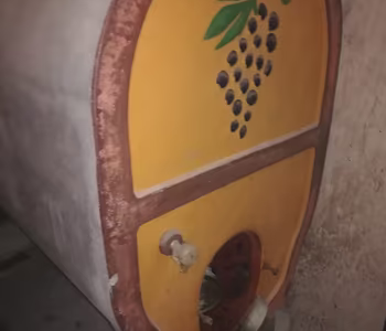 Botti di cemento per vino