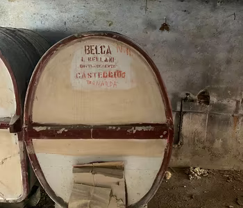 Botti per il vino in cemento