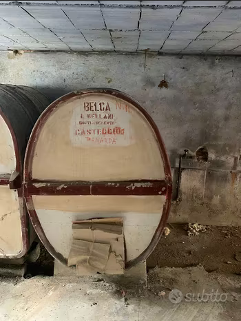 Botti per il vino in cemento