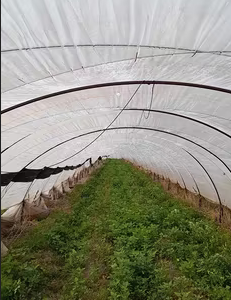 Serre agricole di plastica