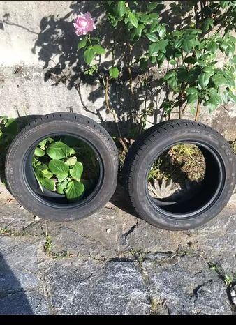 Pneumatici 205/55R16 invernali